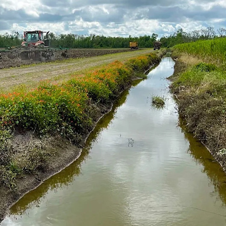 SCOTUS rules against Biden Administration’s WOTUS rule